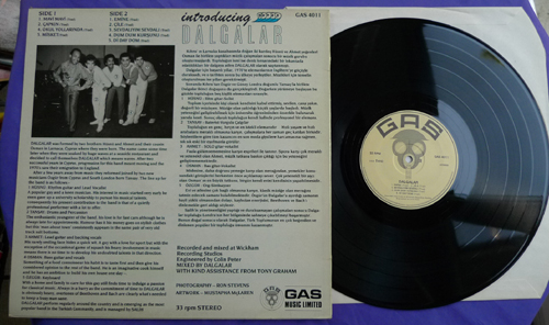 Large preview of record